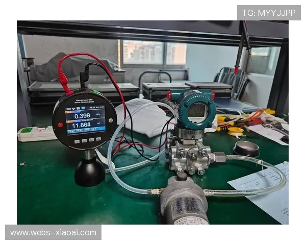 自动化校对工具提升多语种内容质量