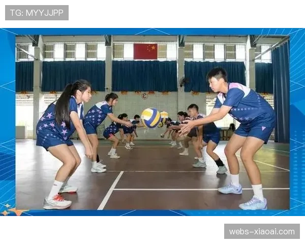 台山排球群众基础深厚 近35万市民参与日常活动